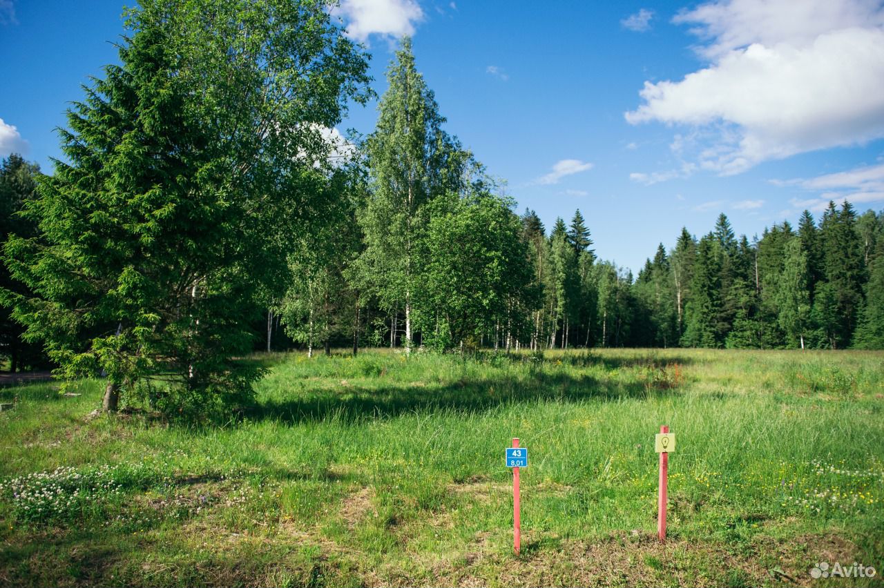 Купить Участок В Снт Всеволожский Район