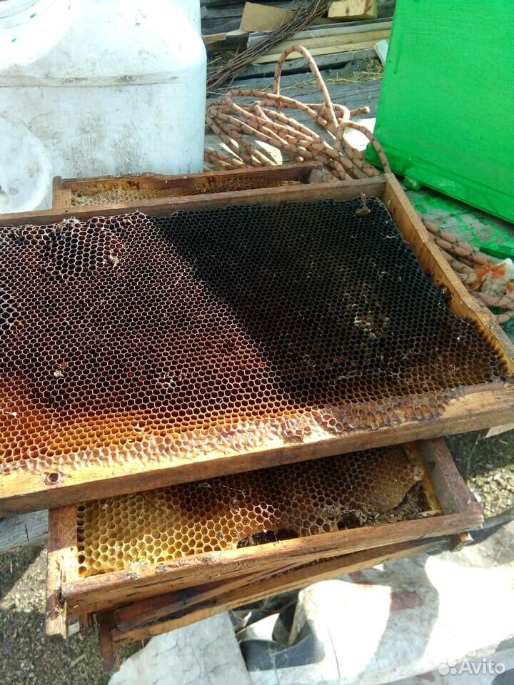 Суш для пчел, ловушек купить на Зозу.ру - фотография № 5