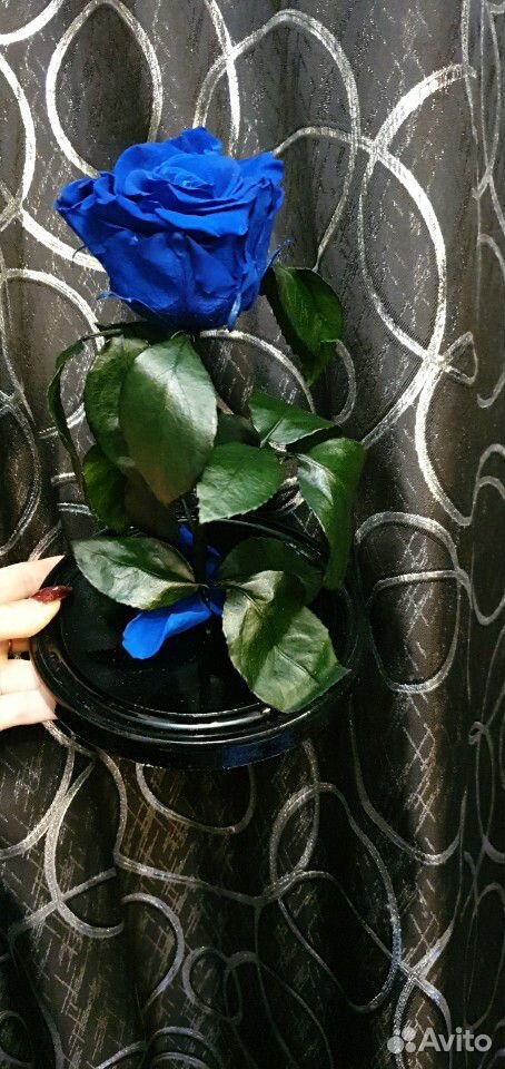 Живая роза в колбе купить на Зозу.ру - фотография № 9