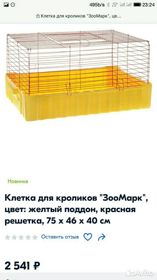 Кролик Французский баран купить на Зозу.ру - фотография № 3