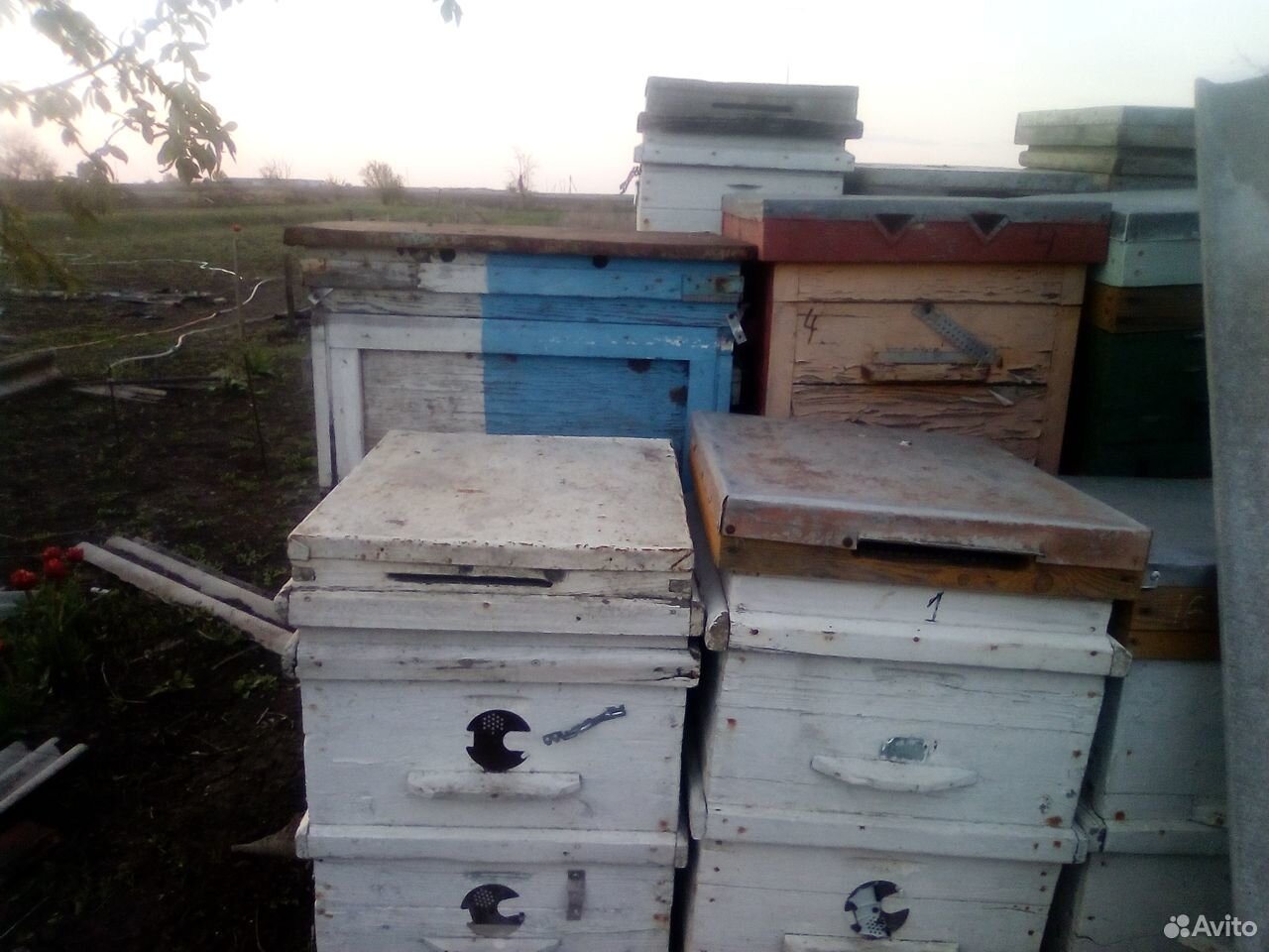 Улики для пчел купить на Зозу.ру - фотография № 5