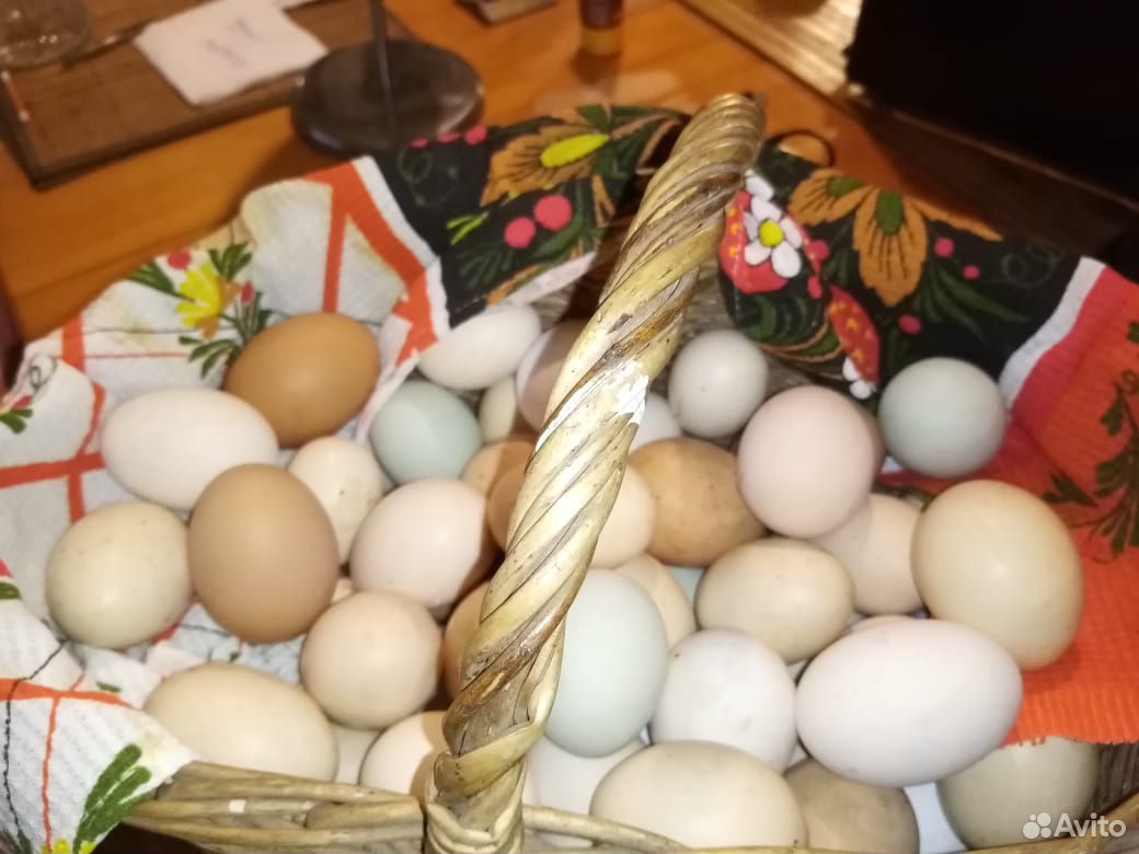 Яйцо от деревенских кур купить на Зозу.ру - фотография № 2
