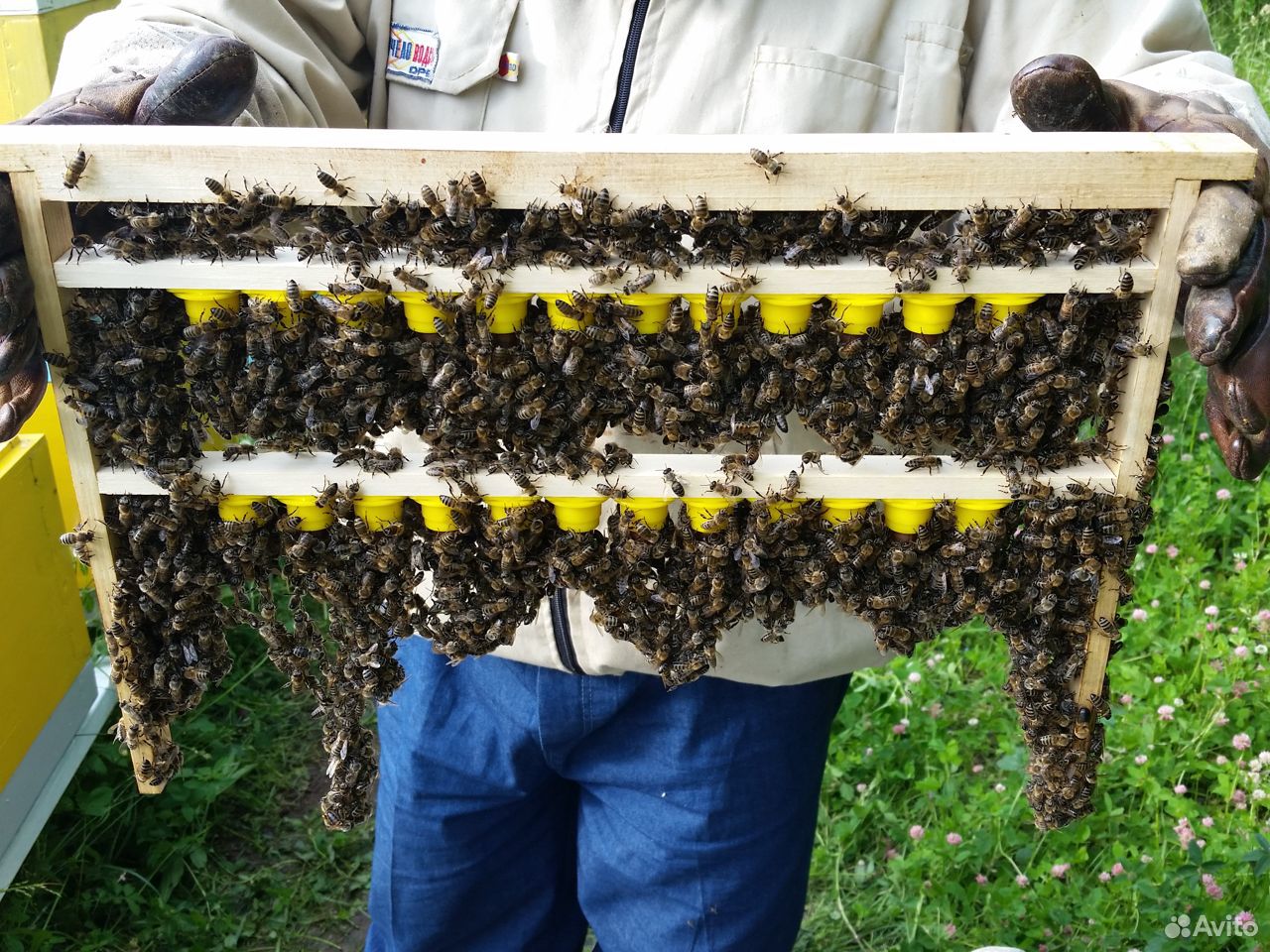 Пчелоотводки купить на Зозу.ру - фотография № 1