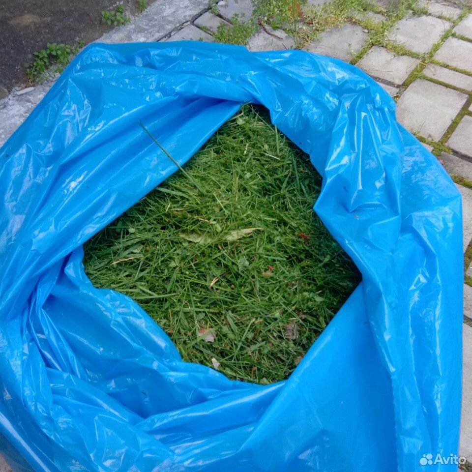 Свежескошенная трава купить на Зозу.ру - фотография № 3