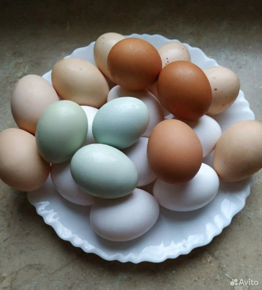 Бройлеры, утятина, крольчатина, мясо, молоко, яйца купить на Зозу.ру - фотография № 2