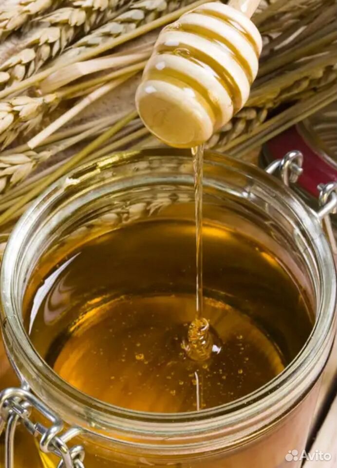 Мёд липовый свежий купить на Зозу.ру - фотография № 1