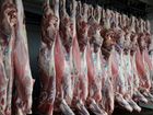 Мясо оптом от производителя в Ленинградской област объявление продам