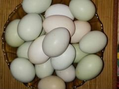 Яйцо домашнее деревенское