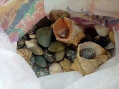 Грунт, камни, ракушки для аквариума