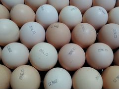 Инкубационное яйцо (импорт)