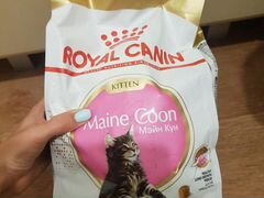 Сухой корм 2 кг Royal Canin Maine Coon Kitten