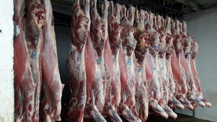 Мясо оптом от производителя в Ленинградской област