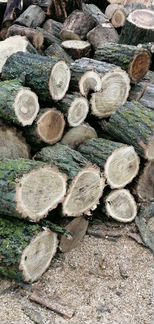Продаются дрова Спил деревьев любой сложности Снос