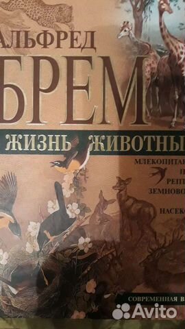 Энциклопедия животного мира