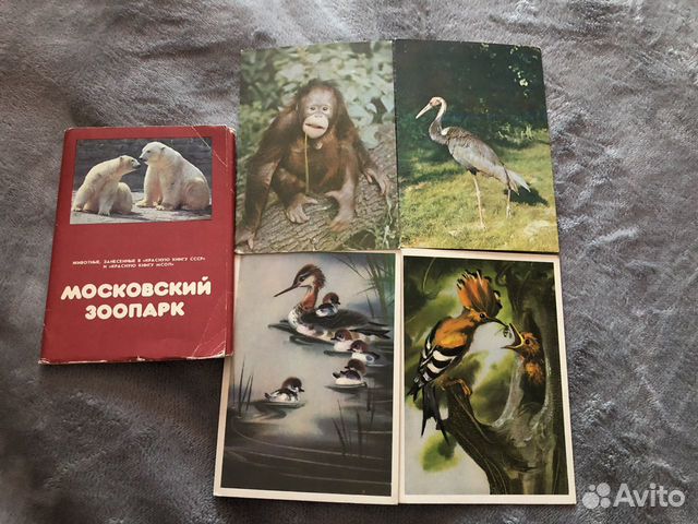 Советские открытки Московского зоопарка