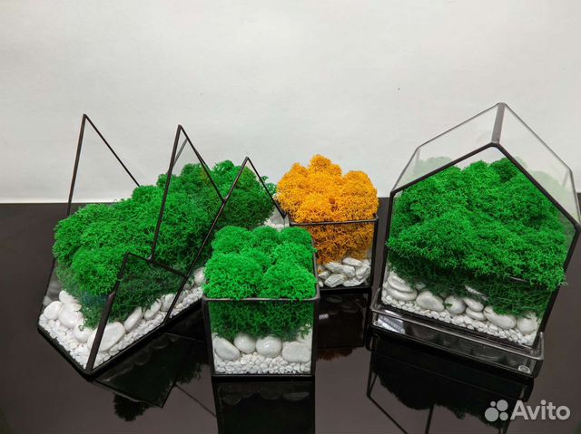 Флорариум со мхом