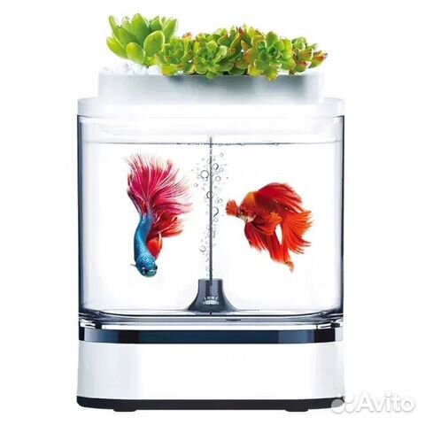 Аква-ферма Xiaomi Mini Lazy Fish Tank Pro C300