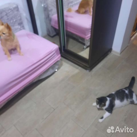 

Квартира-студия, 30 м², 2 кровати