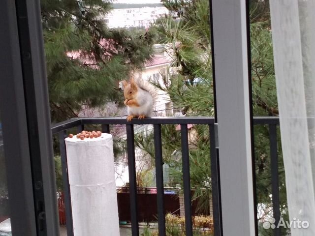 

Квартира-студия, 26 м², 2 кровати