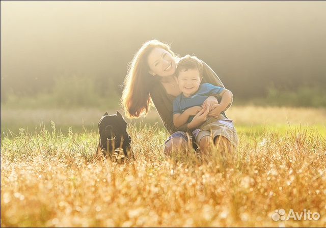 Бленды для объективов Canon Бленды для объективов Canon