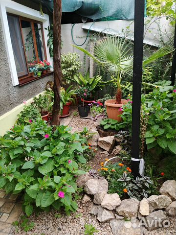 

2-к. квартира, 40 м², 4 кровати