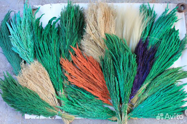 Флористика