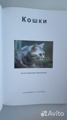 Кошки. Энциклопедия Кошки. Энциклопедия