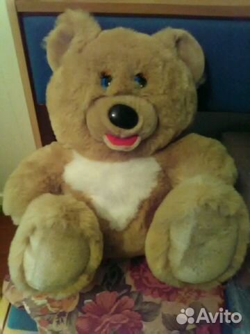 Медведь новый