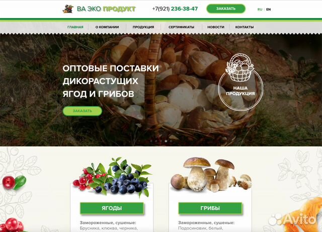 Создание и продвижение сайтов