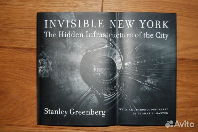 Invisible New York by Stanley Greenberg