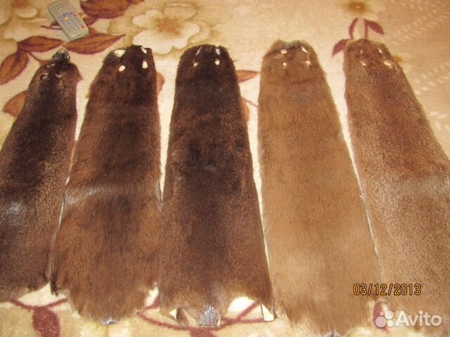 Шкурки нутрии заводской выделки (стриженные)