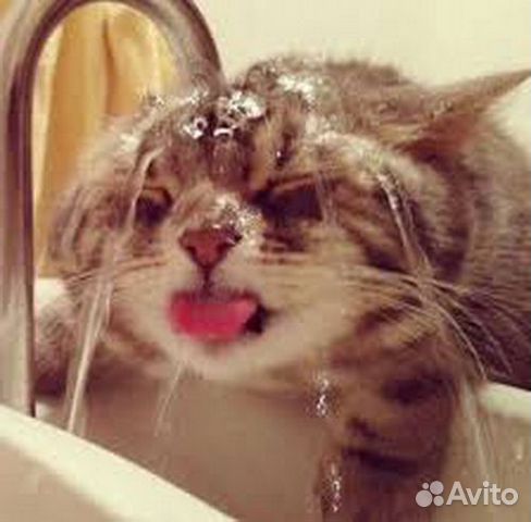 Выкручу поломанную резьбу из муфты сантехник