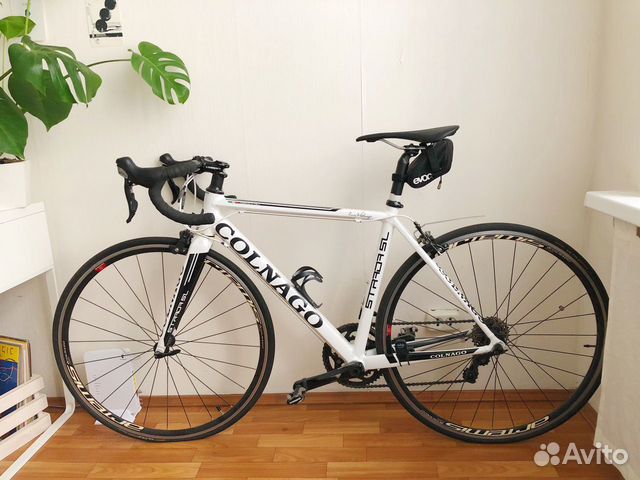 colnago strada