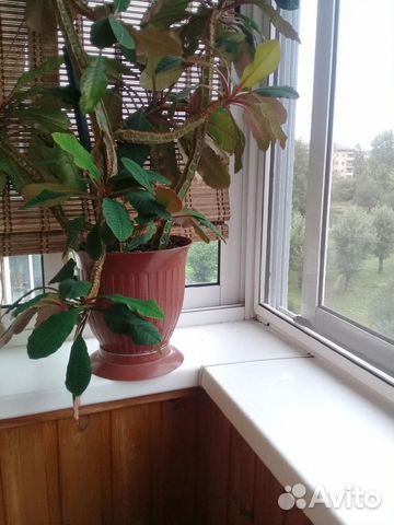 2-к квартира, 45 м², 5/5 эт.