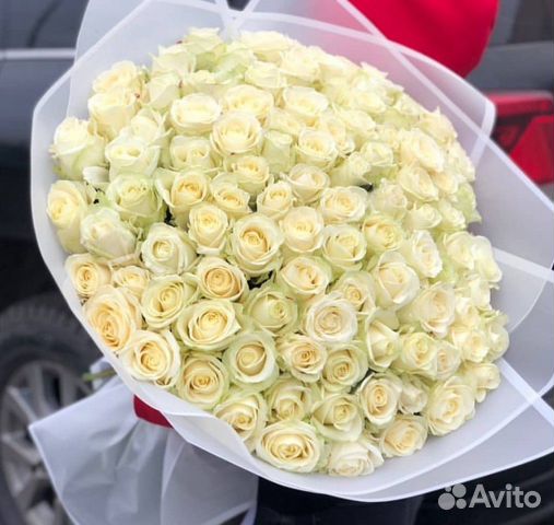 101 роза, Букеты Цветы Розы 25 51 151 201 Доставка 101 роза, Букеты Цветы Розы 25 51 151 201 Доставка
