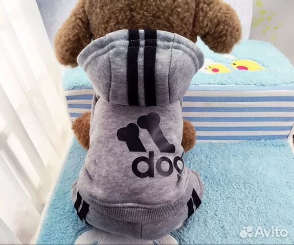 Новый классный костюмчик Новый классный костюмчик
