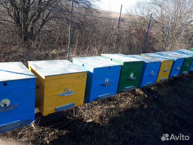Ульи для пчел дадан купить на Зозу.ру - фотография № 3