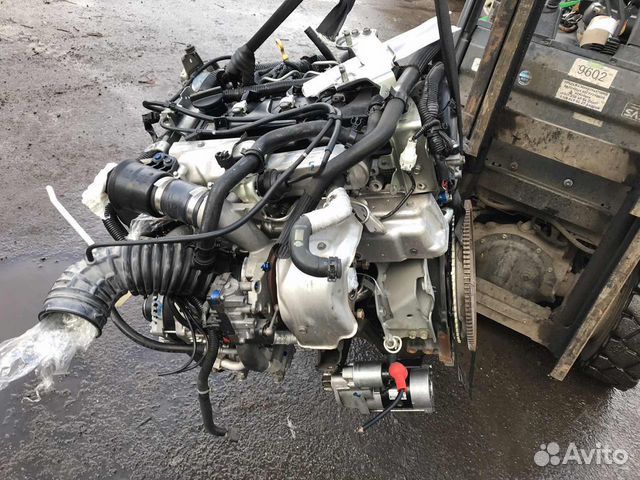 Контрактный Двигатель Nissan Navara Y25DDTi Контрактный Двигатель Nissan Navara Y25DDTi