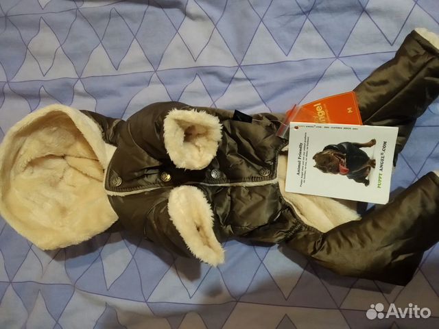 Комплект зимней одежды для собаки купить на Зозу.ру - фотография № 2