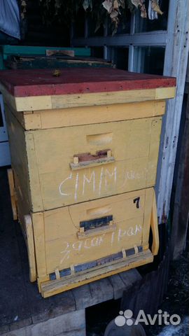 Ульи для пчёл 12-рамочные б/у в хорошем состоянии купить на Зозу.ру - фотография № 1