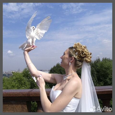 Голуби на свадьбу купить на Зозу.ру - фотография № 7