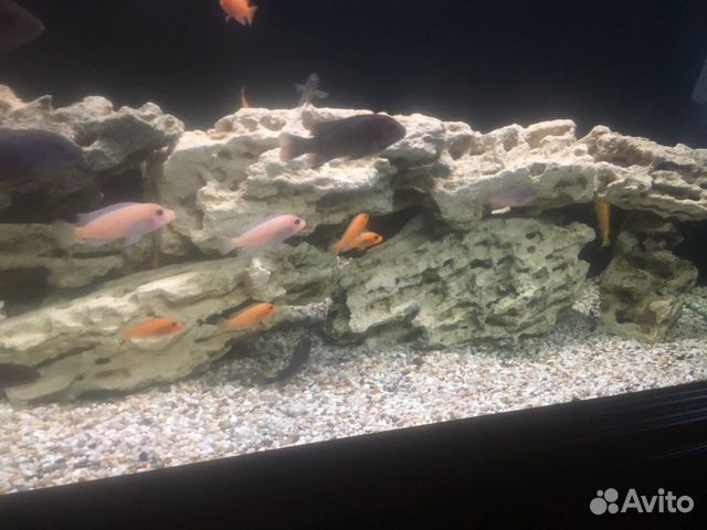 Камни аквариумные песчаник купить на Зозу.ру - фотография № 2