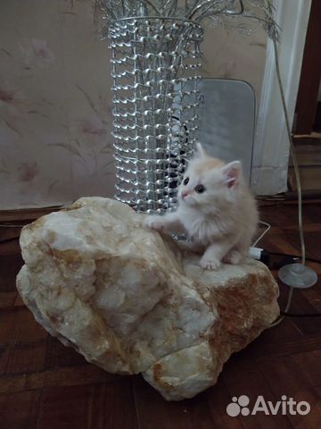 Мальчик в добрые руки