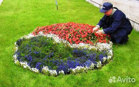 Разнорабочий в сфере озеленения Разнорабочий в сфере озеленения