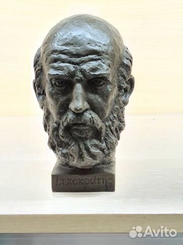 Бюст Бюст