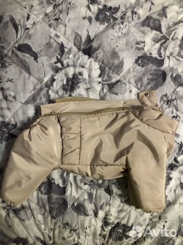 Одежда для собак