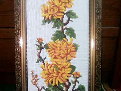 Золотые Хризантемы Фото