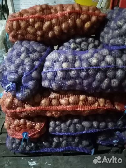 Продукты питания