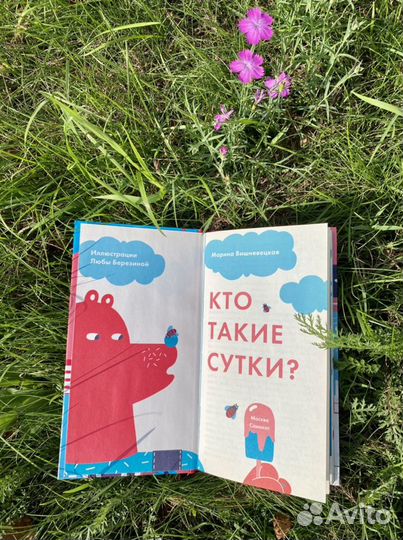 Книга М. Вишневецкая Сутки