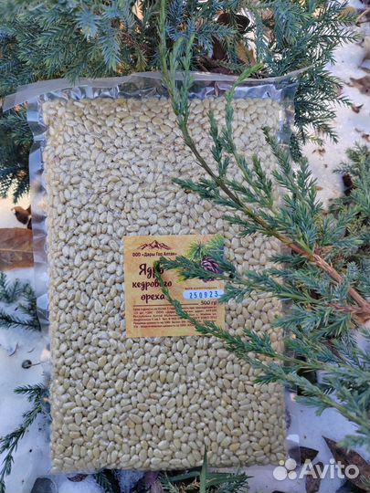 Ядро кедрового ореха